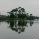 와우호수공원 이미지