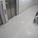 현지엘리베이터(주) 이미지