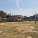 부강생활체육공원 이미지