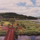 한반도섬 이미지