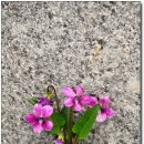 지리산지구전적비 이미지