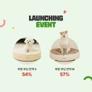 푸딩포토 이미지