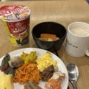 솔(SOL)메디 | 나의 허니문💝 큰 거 왔다 ! 첫번째 ,, 마드리드편 ˚。˳⛱️