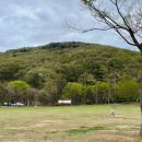 초부리유아숲체험원 이미지