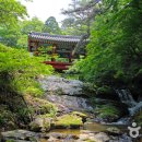 곡성-215 이미지