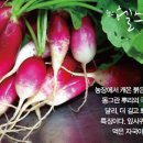블루힐농장 헬스조선