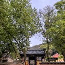 묘법연화경 권4~7 | 대구 화원 옥포 송해공원 용연사 절