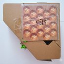 보드게임 리뷰 : 낼름 사우루스 (개봉기 + 간단 규칙 + 게임 후기)