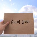 순리대로 이미지