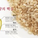 햇살떡집 - 동구 은어송로 37 | 햇살떡집