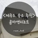 사계초등학교 | Resort)_산방산 근처에 전 객실 프리미엄 잭슨스파가 있는 '콤마앤리조트' 스탠다드 더블A룸 솔직 후기!