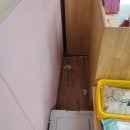 효자 초등학교 병설 유치원 이미지