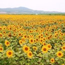 해남하나농장 2농장 이미지