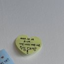 땡땡모