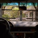 라디오스타박물관 이미지