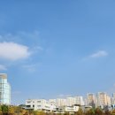 명리학(중급) 이미지