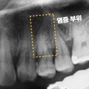 향남바른치과의원 이미지