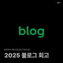 서울레이크사이드CC노동조합 | 2025 블로그 회고｜1년간 방문자 수 포스팅 수 정리 + 많이 읽은 글