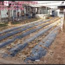 내곡동269 이미지