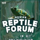렙타일링크