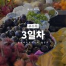 북부사우나헬스 | [푸꾸옥 3일차] 푸꾸옥 북부 일정 - 빈펄리조트앤스파 호캉스 하루