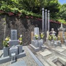 천도장묘 이미지