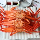 대게타운 이미지