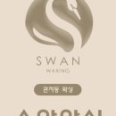 스완왁싱