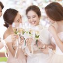 (주)파라다이스웨딩 이미지