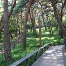 역사문화투어 이미지