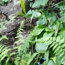 안산약수터 이미지