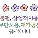 여우야 DVD