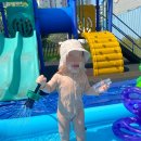 나무와숲어린이집 이미지