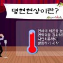 힐스템 - 구미시 해평시장3길 17-1 | 힐스템