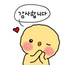 네일:화담 이미지