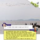 백미리어촌계 이미지