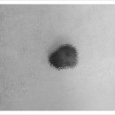 닥터김 동물병원 이미지