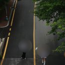 날마다장터범천점 | 부산 야외 웨딩스냅 [르안 빌리지] 후기(시안 공유)