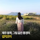 6월 제주 동쪽, 아이와 가기 좋은 섭지코지 운영시간 주차정보