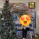 동해현진관광호텔 한식당 (3층) | 강릉 기념품 간식 강릉 여행선물 강릉샌드 본점 방문 후기 딸기샌드 강추