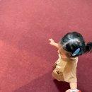 부산 송도 [스파 해수랑] 리모델링 재오픈 방문 후기 -(구)송도 해수피아 | 부산 아이랑 가기 좋은 찜질방