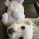 서산해미공인중개사사무소 이미지