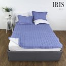 아이리스 이미지