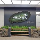 바른갈치 | 제주 시내 갈치조림 맛집 찾던 중 성산에서 출발 공항 근처 바른갈치 방문 후기