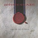 Whitesnake - Fool for Your Loving 이미지