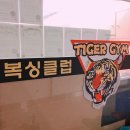 타이거짐복싱클럽 네이버블로그