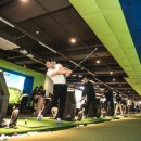 비타민 스크린골프 이미지