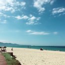 메종드블랑제 이미지