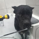 준독트레이닝센터 이미지