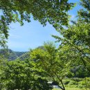 속리산통나무펜션 이미지